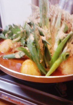 [�J���W���^��]