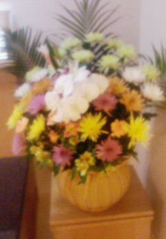 [�[���p�̉�]