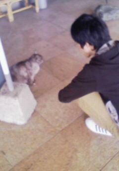 [���q�ƃl�R]